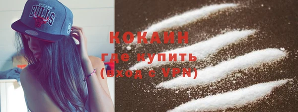 бошки Тында