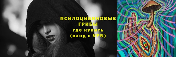 прущие крисы Осташков