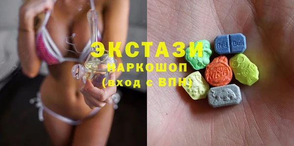 ECSTASY Бородино