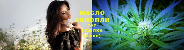 молекула духа Осинники