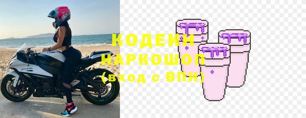 молекула духа Осинники