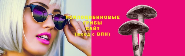 спиды Туринск