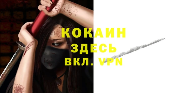 молекула духа Осинники