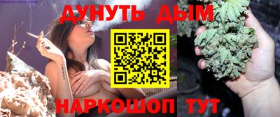 шишки Гай