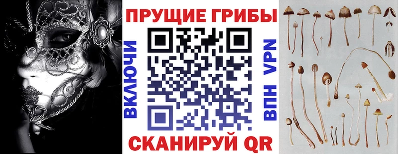 Галлюциногенные грибы прущие грибы  гидра как войти  Белогорск 